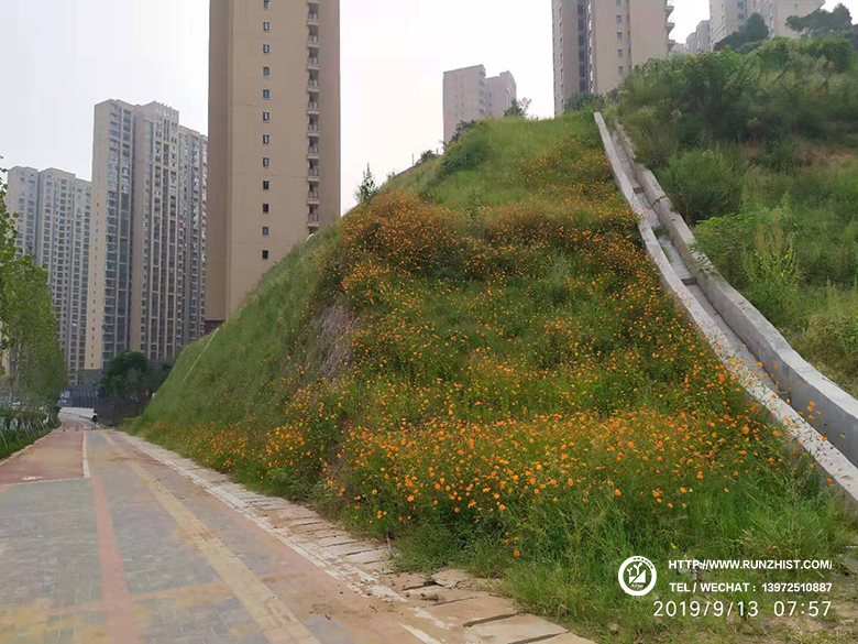 修復后4個(gè)月.jpg